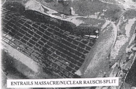 ENTRAILS MASSACRE - Entrails Massacre / Nuclear Rausch cover 