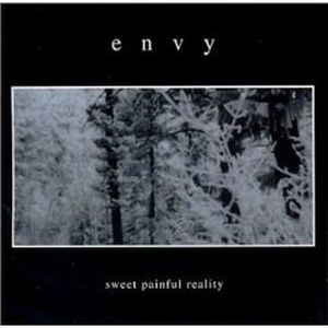 ENVINITY - Sweet Painful Reality cover 