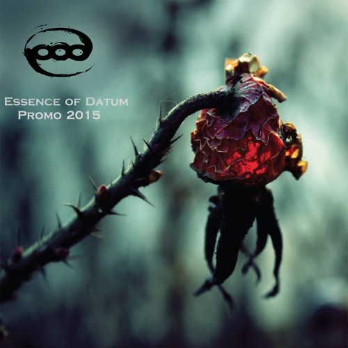 ESSENCE OF DATUM - Promo 2015 cover 