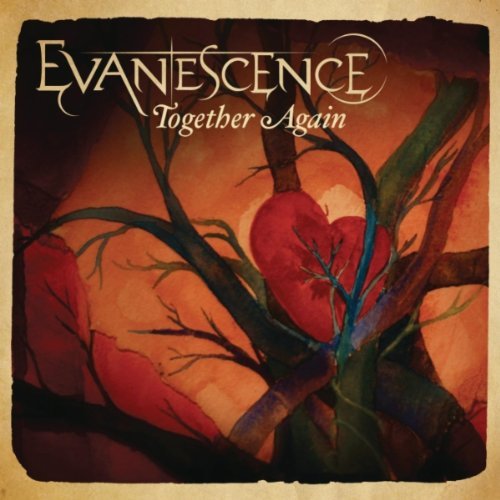 EVANESCENCE - Together Again cover 