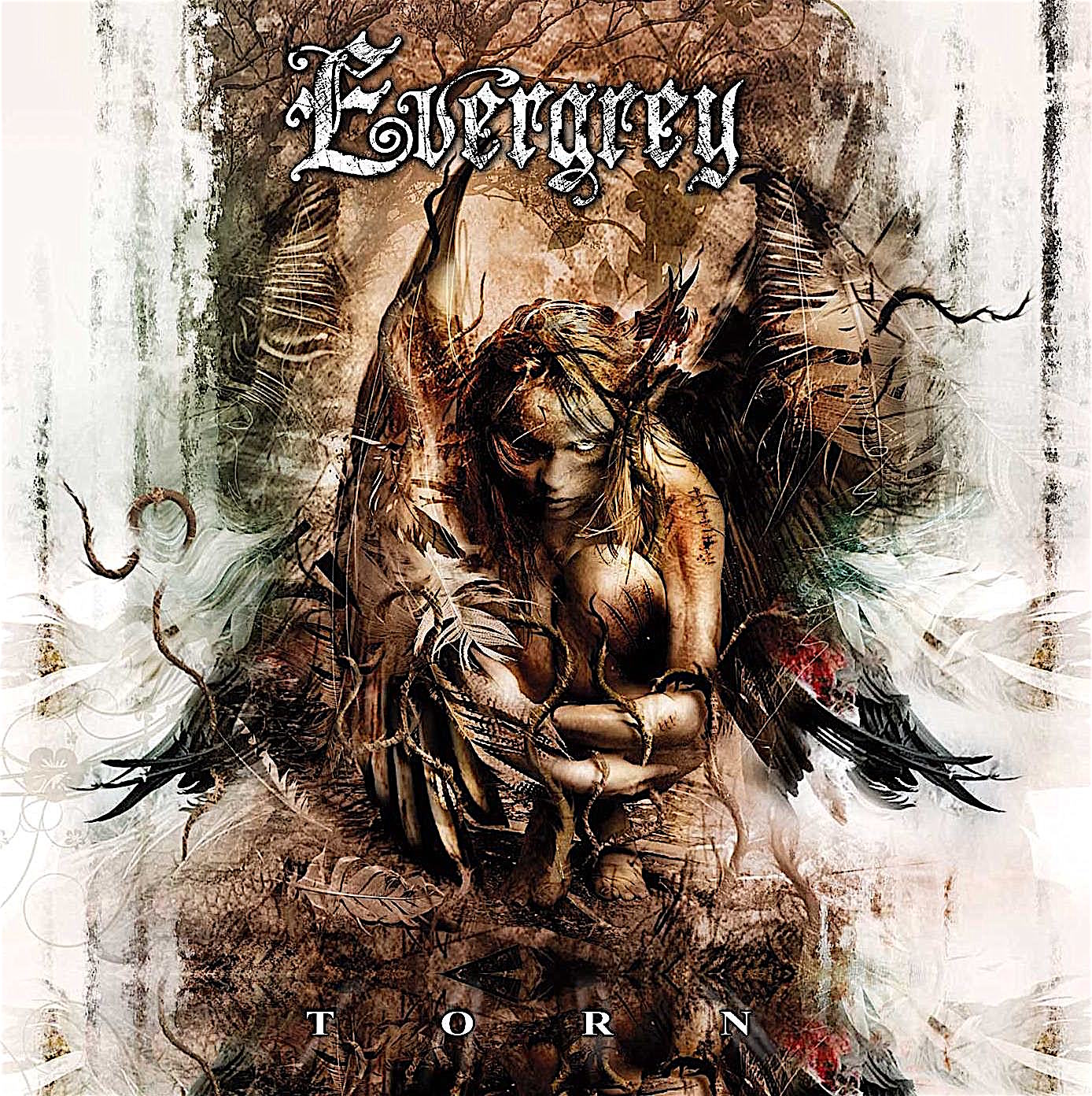 EVERGREY - Torn cover 