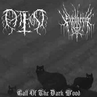 EXETHERIS - Call of the Dark Wood cover 
