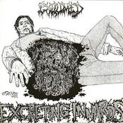 EXHUMED - Excreting Innards cover 