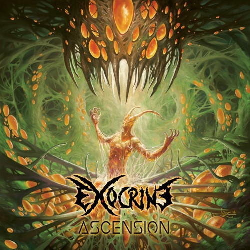 EXOCRINE - Ascension cover 