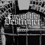EYE OF THE DESTROYER - Breed cover 