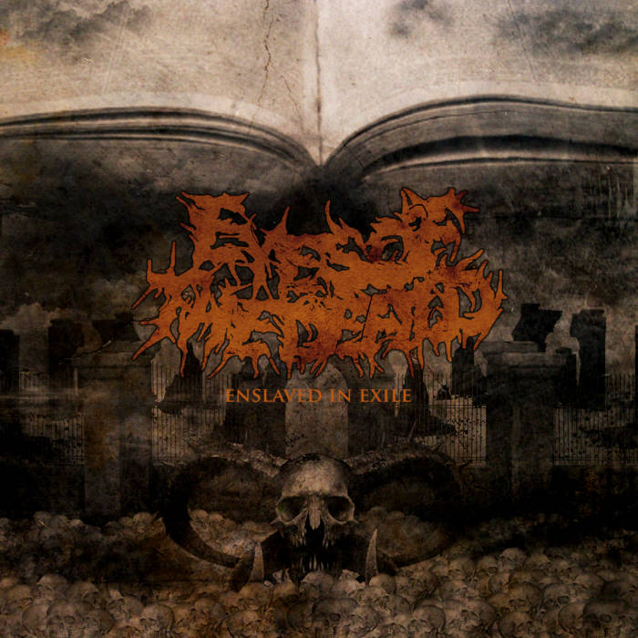EYES OF THE DEFILED - Enslaved In Exile cover 