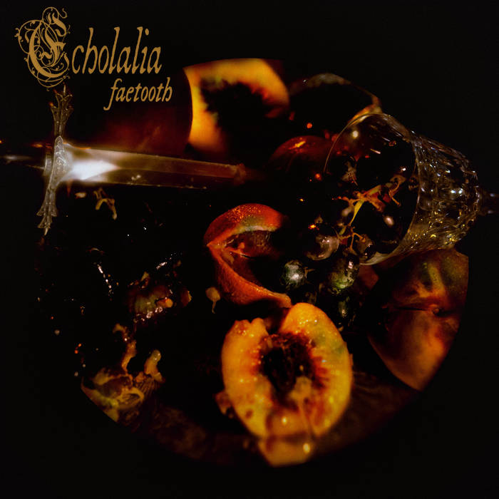 FAETOOTH - Echolalia cover 