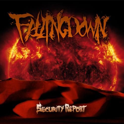 FALLING DOWN - Security Report cover 