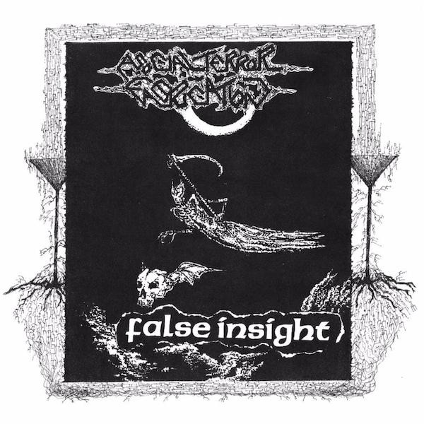 FALSE INSIGHT - Asocial Terror Fabrication / False Insight cover 