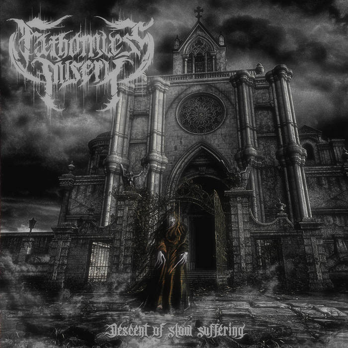 FATHOMLESS MISERY - Descent Of Slow Suffering cover 