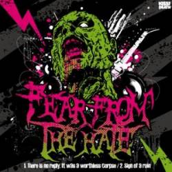 FEAR FROM THE HATE - There Is No Reply, It Was A Worthless Corpse / Sign Of A Ruin cover 