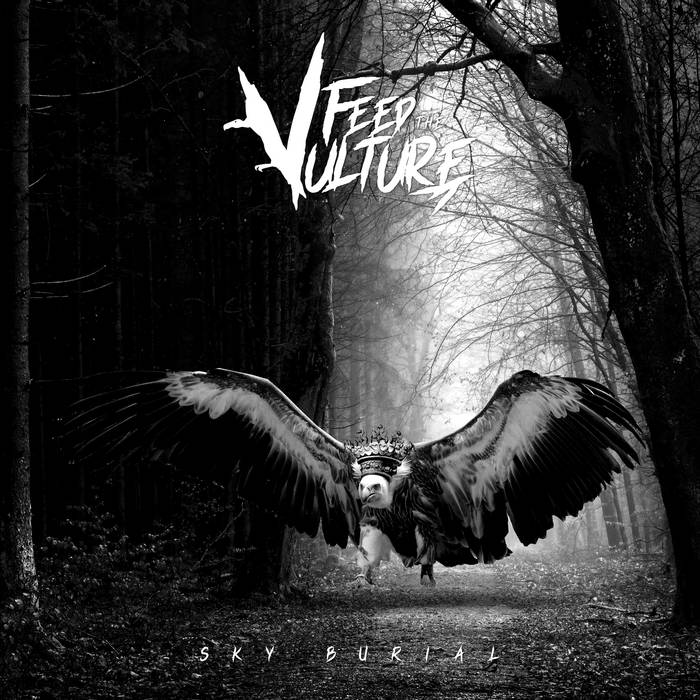 FEED THE VULTURE - Sky Burial (Instrumental) cover 