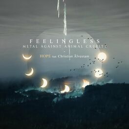 FEELINGLESS - Hope cover 