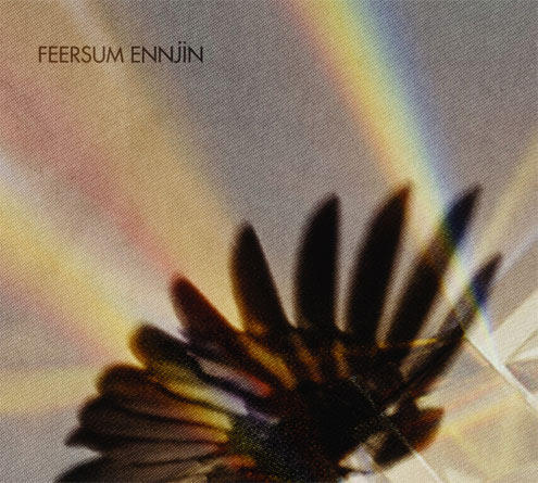 FEERSUM ENNJIN - Feersum Ennjin cover 