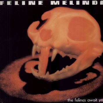 FELINE MELINDA - The Felines Await You cover 