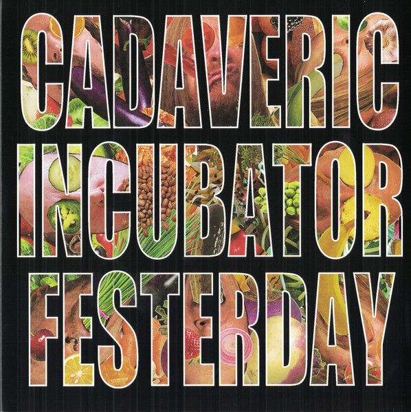FESTERDAY - Cadaveric Incubator / Festerday cover 