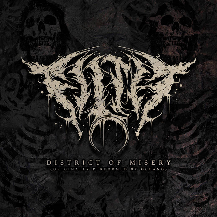 FILTH (NC) - District Of Misery cover 