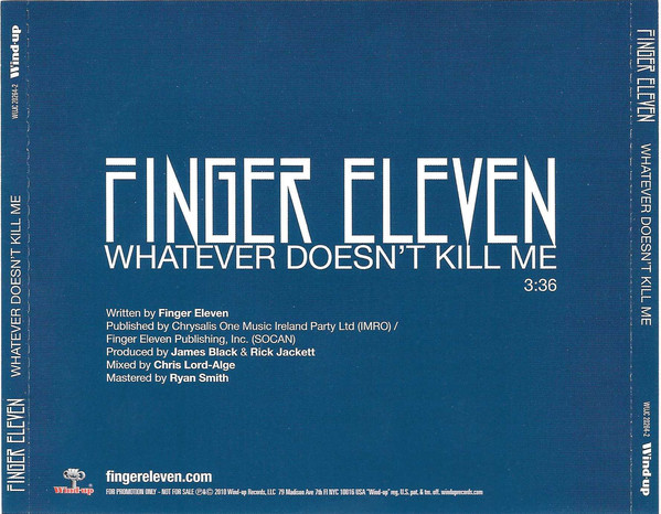 FINGER ELEVEN - Whatever Doesn't Kill Me cover 