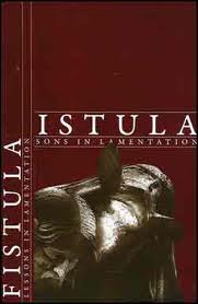 FISTULA (OH) - Lessons In Lamentation cover 