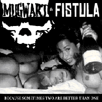 FISTULA (OH) - Because Sometimes Two Are Better Than One cover 