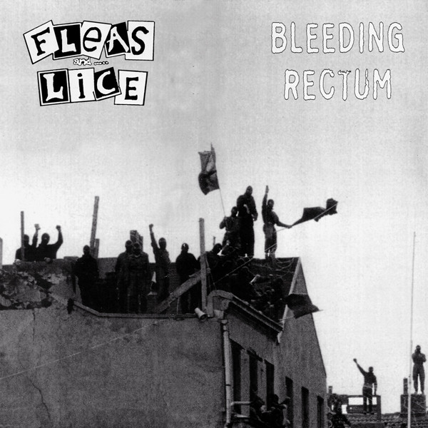 FLEAS AND LICE - Bleeding Rectum / Fleas And Lice cover 