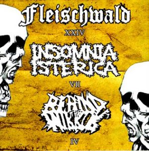 FLEISCHWALD - Fleischwald / Insomnia Isterica / Behind the Mirror cover 