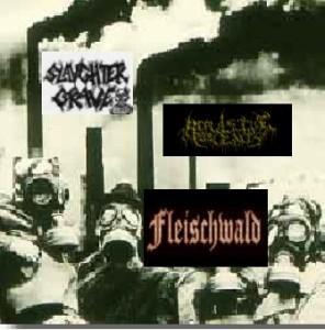 FLEISCHWALD - Slaughtergrave / Repulsive Obscenity / Fleischwald cover 