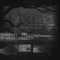 FLESH MECHANIC - Picture This cover 