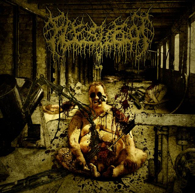 FLESHROT - Decomposition of Humanity cover 