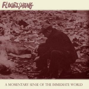 FLOURISHING - A Momentary Sense of the Immediate World cover 