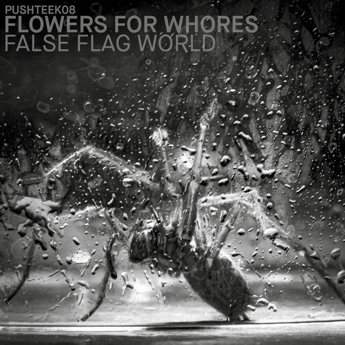 FLOWERS FOR WHORES - False Flag World cover 