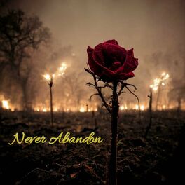 FOR THOSE WHO CAN SEE - Never Abandon cover 