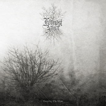 FORNOST ARNOR - Escaping the Abyss cover 