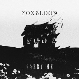 FOXBLOOD - Carry Me cover 