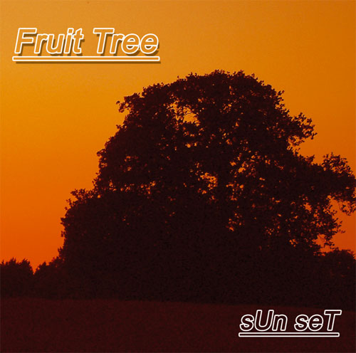 FRUIT TREE - sUn seT cover 