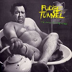 FUDGE TUNNEL - The Sweet Sound Of Excess cover 