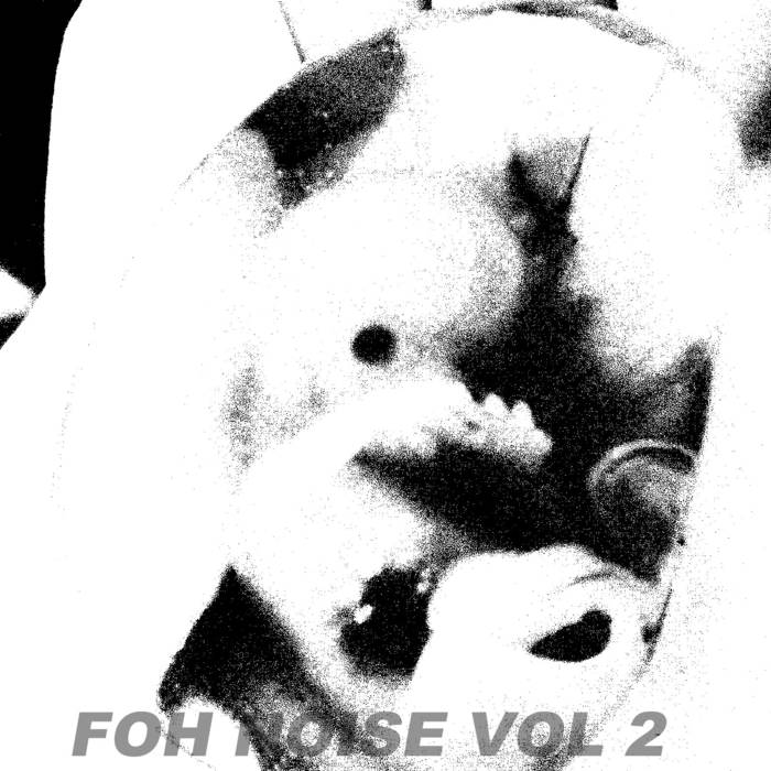 FULL OF HELL - FOH Noise: Vol. 2 cover 
