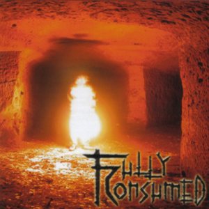 FULLY CONSUMED - Fully Consumed cover 