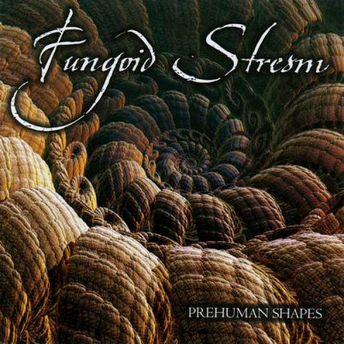 FUNGOID STREAM - Prehuman Shapes cover 