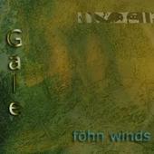 GALE (WI) - Föhn Winds cover 