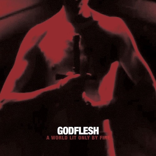 GODFLESH - A World Lit Only by Fire cover 