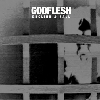 GODFLESH - Decline and Fall cover 