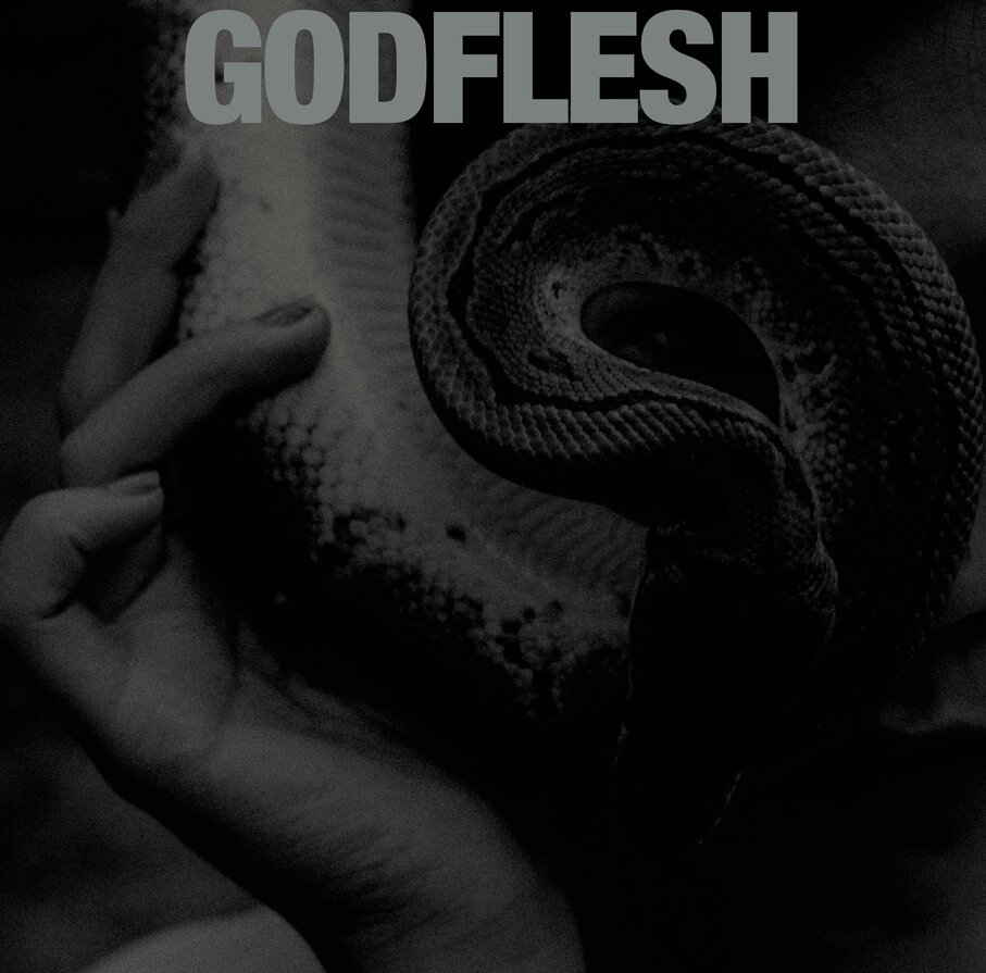 GODFLESH - Purge cover 