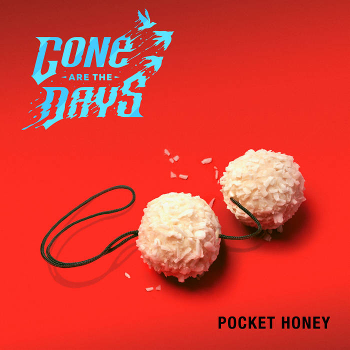 GONE ARE THE DAYS - Pocket Honey cover 