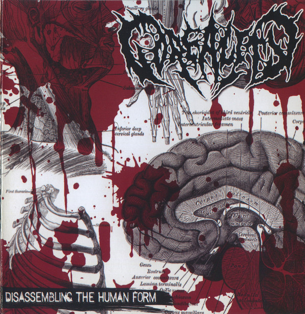 GOREALITY - Disassembling The Human Form cover 