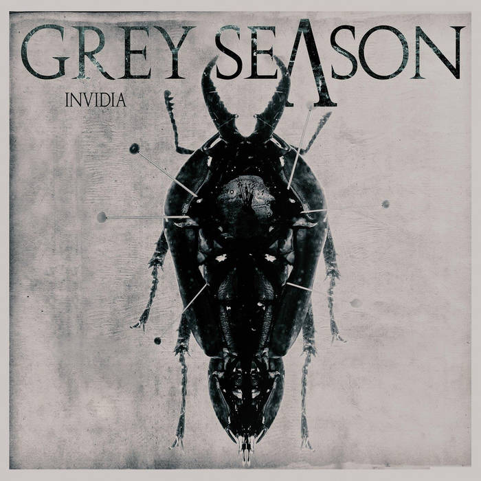 GREY SEASON - Invidia cover 