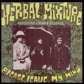 THE GROUNDHOGS - Please Leave My Mind - Herbal Mixture cover 