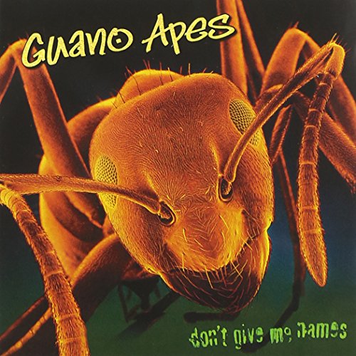 GUANO APES - Don't Give Me Names cover 