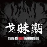GWAMEGI - This Is Not Hardcore cover 