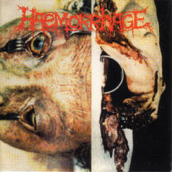 HAEMORRHAGE - Damnable / Haemorrhage cover 